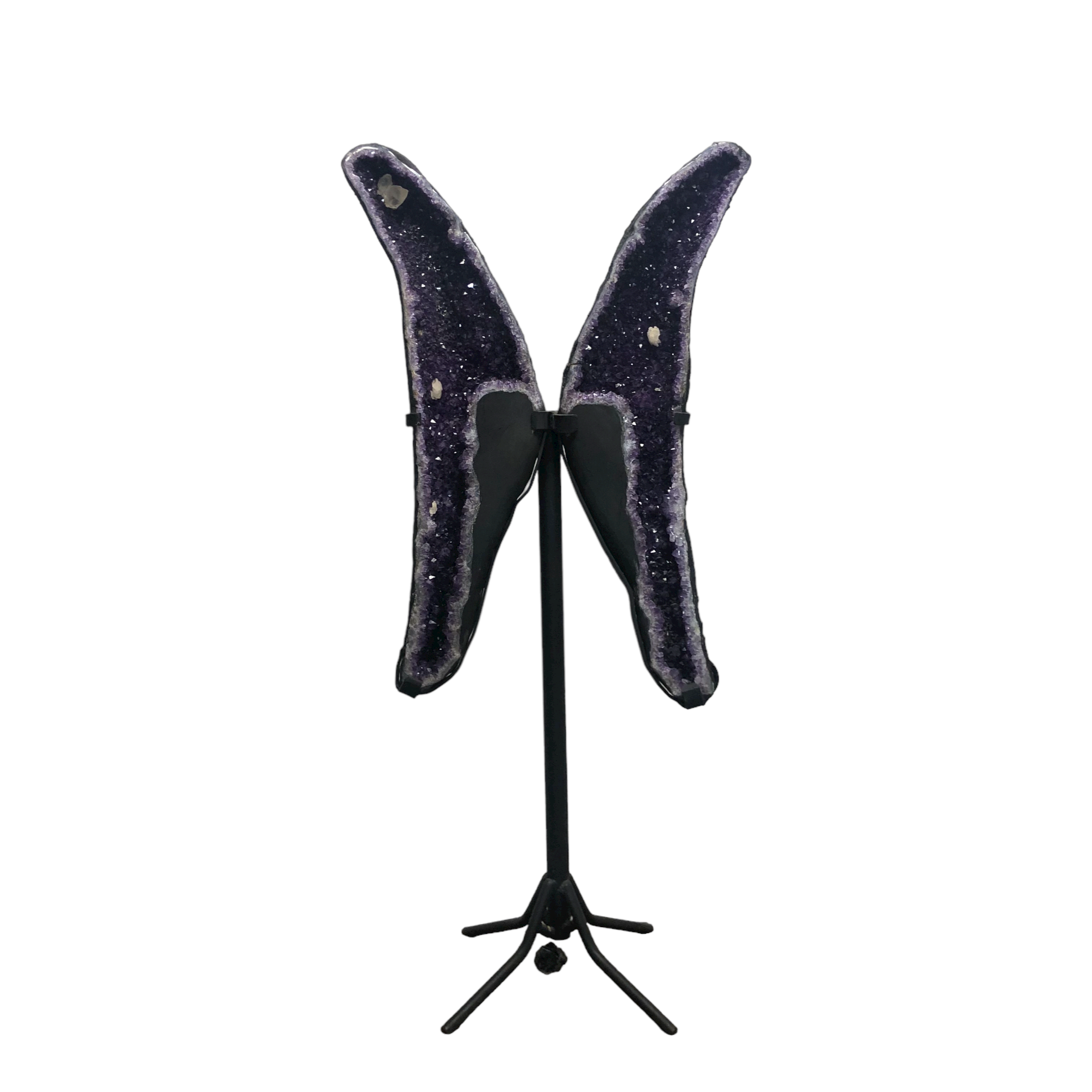 Amethyst Angel Wings  $15,000